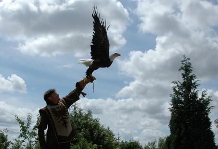AVEC LES AIGLES !